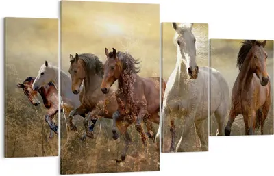 Produktbild von Bild auf Leinwand - Leinwandbild - Pferd Tier Natur - 120x70cm - Wand Bild - Wanddeko - Wandbilder - Leinwanddruck - Bilder - Kunstdruck - Wanddekoration - Leinwand bilder - Wandkunst - DL120x70-3640