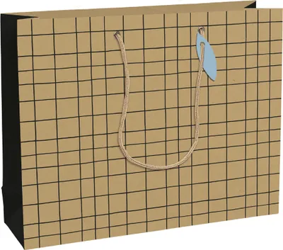 Produktbild von Clairefontaine Geschenktüte "Minimalist" groß