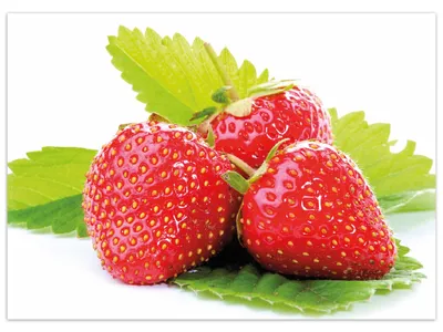Produktbild von Wallario Premium Teppich, Größe 50 x 70 cm, Frische rote Erdbeeren für die Küche