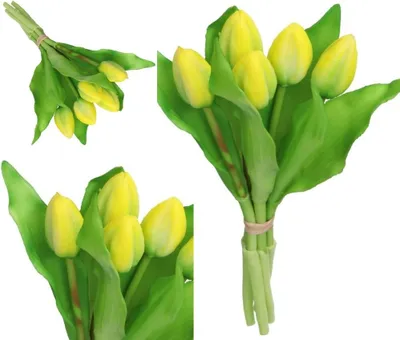 Immagine prodotto di Bouquet Di Tulipani Ricoperti Di Gomma Come La Vita