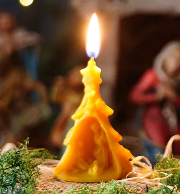 Produktbild von tea4chill Bienenwachskerze aus 100% Bienenwachs, Krippe in Tannenbaum, Kerze 4,5 x 3,7 x 7cm, Weihnachtsbaum, Geschenk für Weihnachten, handgefertigt