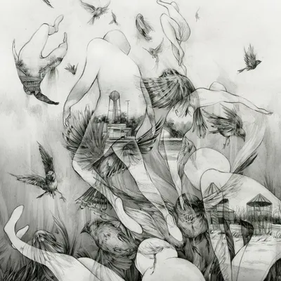 Produktbild von Mono-The Last Dawn