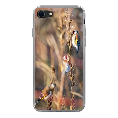 Produktbild von MuchoWow® Handyhülle Schutzhülle Hülle für iPhone 8 Vögel - Äste - Wald Silikon Softcase Handy Hülle - Schutzhaube