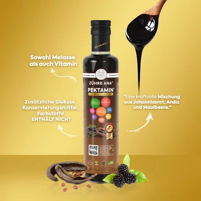 Produktbild von Zühre Ana | Pektamin Sirup 250ml