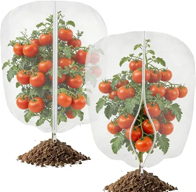 Produktbild von Pflanzenschutzhaube 76 x 106 cm mit Reißverschluss & Kordelzug (2er Pack) - Engmaschiges Insektenschutznetz & Vogelschutznetz für Balkonpflanzen - Wiederverwendbares Kulturschutznetz & Pflanzenschutznetz für Kräuter, Hochbeet & Sträucher