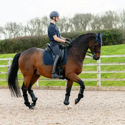 Image de Selle de dressage LeMieux en Suède