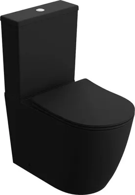 A black, modern, one-piece toilet.