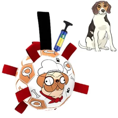 Produktbild von Hundespielzeug Fußball interaktiv zum Tauziehen Wasserspielzeug für Welpen langlebig 19,1 cm Rot