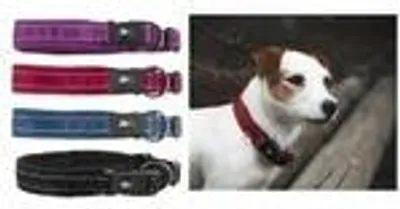 Produktbild von Hurtta Casual Halsband violett, Größe: 55 cm