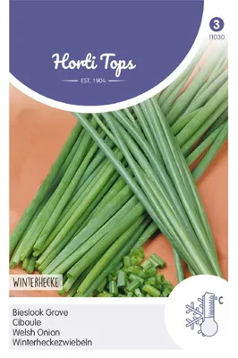 Produktbild von Horti Tops Schnittlauch Grober Kräutersamen - 1 Saatgutbeutel