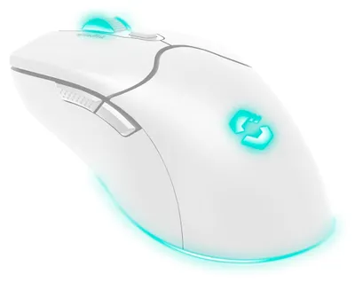 Obrázek produktu pro SPEEDLINK SL-680102-WT, Pro praváky, Optický, RF Wireless + USB Type-A, 4800 DPI, Bílá