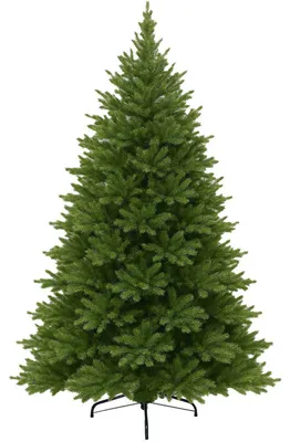 Immagine prodotto di Albero di Natale NORDMANN 210 in polietilene verde 142x210 cm