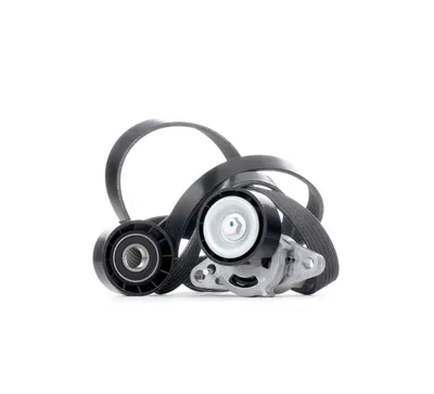 Produktbild von RIDEX 542R0082 Keilrippenriemensatz für RENAULT CLIO II (BB0/1/2, CB0/1/2)