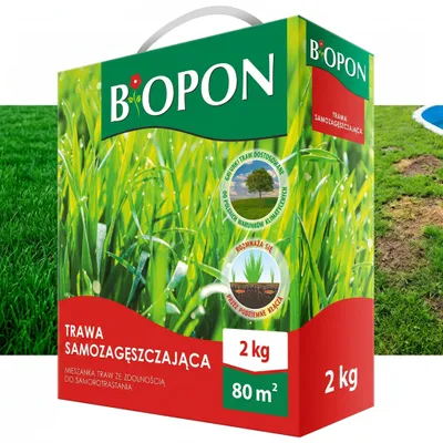 Produktbild von BOPON – Selbstverdichtendes Rasengras 80 m² – 2 kg