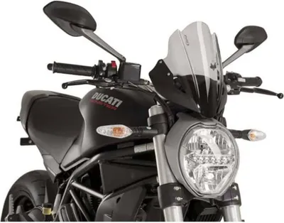 Obrázok produktu pre PUIG športová clona smoke clear 290x180mm pre Ducati