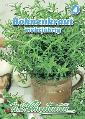 Produktbild von Bohnenkraut mehrjährig | Bohnenkrautsamen von N.L. Chrestensen