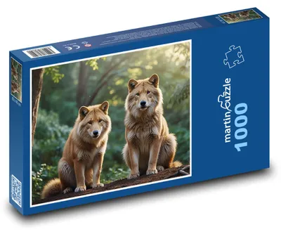 Obrázok produktu pre Puzzle 1000 Vlci v lese - martinpuzzle