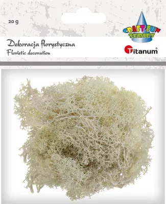 Image de Mousse de chrobotk beige 20 g - Titanum