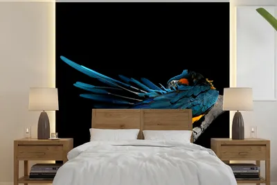 Produktbild von MuchoWow® Fototapete für Wohnzimmer oder Schlafzimmer Wandtapete Vinyl Motivtapete Vogel - Federn - Zweig - Schwarz - 300x300 cm - Wanddekoration