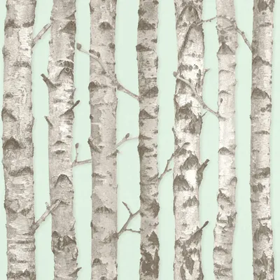 Produktbild von ESTAhome Tapete Birkenstämme Pastell Mintgrün und Grau 53 cm x 10.05 m