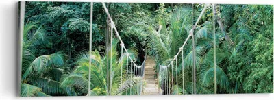 Produktbild von Bild auf Leinwand - Leinwandbild - 3 Teile - Tropen Dschungel Brücke - 90x30cm - Wand Bild - Wanddeko - Wandbilder - Leinwanddruck - Bilder - Wanddekoration - Leinwand bilder - Wandbild - CA90x30-4963