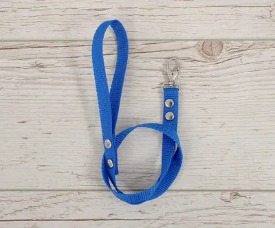 Produktbild von Hobby Horse Gurtband Leine - blau