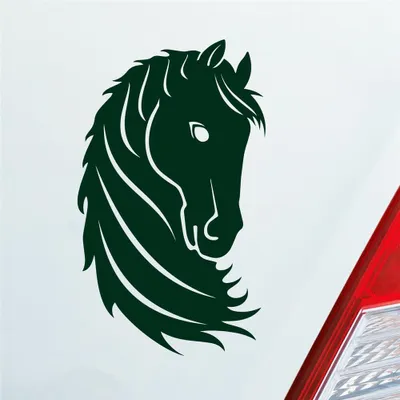 Produktbild von Auto Aufkleber Pferd Horse Pony Pferdeliebhaber Reiten 15x9 cm Dunkelgrün Sticker Heckscheibenaufkleber