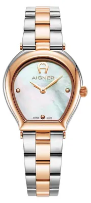 Image de Aigner Montre Trani Rose Gold
