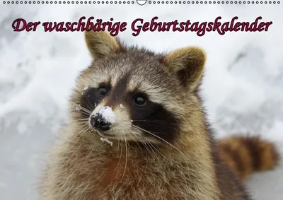 Produktbild von Calvendo Der waschbärige immerwährende Geburtstagskalender (Monatskalender, 14 Seiten) 978-3-660-43360-9