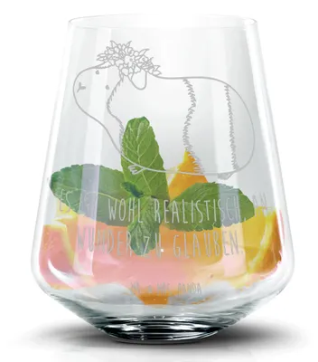 Produktbild von Mr. & Mrs. Panda Tumbler Meerschweinchen Weisheit - Transparent - Geschenk, Spruch, Realität, Cocktailglas, Motivation, Whiskey, Highball Glas, Wunder, Cocktail, Aperol