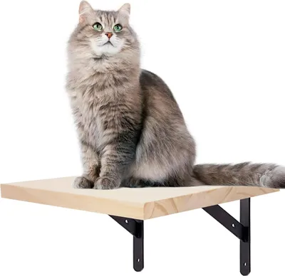 Produktbild von Kletterwand für Katzen - Katzentreppe - 1-teilig