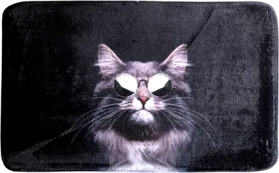 Produktbild von SANILO® Badteppich Cool Cat 50 x 80 cm