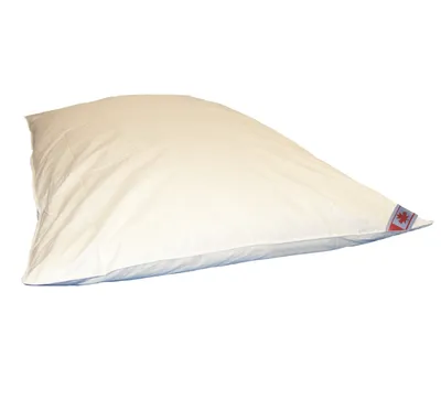 Produktbild von Ballonbett Bettdecke 100% Federbett Canada warme Winterdecke 155x220 cm