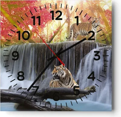 Produktbild von Wanduhr - Quadrat - Glasuhr - Tiger natur tier paradies - 30x30cm - Schleichendes Uhrwerk - Lautlos - zum Aufhängen bereit - Dekoration Modern - Wanddekoration aus Glas - C4AC30x30-2396