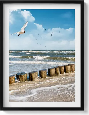 Produktbild von Vogel am Meer– Wandbild mit Rahmen – Gerahmtes Bild  – Wanddekoration – 60x80 cm –  Schwarz Rahmen