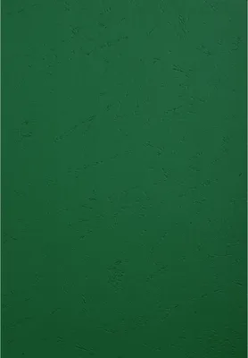 Produktbild von Exacompta 100er Einbanddeckel Evercover 270g/qm Lederprägung A4 Dunkelgrün 2798C