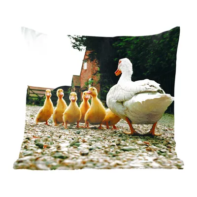 Produktbild von MuchoWow® Zierkissen Sofakissen Wohnzimmer Dekokissen 40x40 cm Ente mit Jungen - Foto Kissen - Schlafzimmer Dekoration