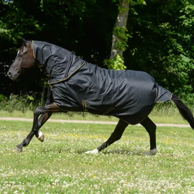 Produktbild von Bucas Weidedecke in Größe 165 - Irish Turnout 300g und Halsteil - Set - Black/Gold