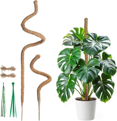 Imagen del producto de Soporte de fibra de coco, flexible, de 60 cm y 120 cm, para plantas trepadoras