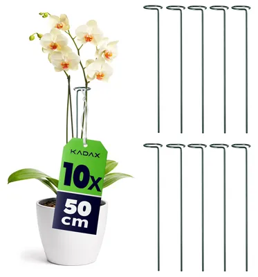 Produktbild von KADAX Blumenstützen 50 cm, 10er Set, Pflanzenstützen aus Stahl, Blumenhalter für Orchideen, Rankstäbe zur Stabilisierung von Stängeln und Blüten, Orchideenstäbe
