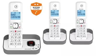 Immagine prodotto di Telefono cordless con segreteria telefonica Alcatel F860VOICETRIOGREY