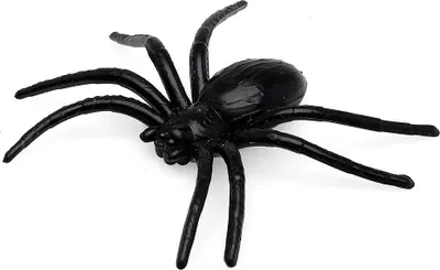 Obrázok produktu pre Atosa Halloween pavúk dekorácie 6 jednotiek čierna čierna jedna veľkosť