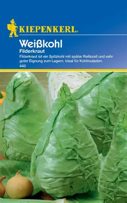 Produktbild von Kiepenkerl Weißkohlsamen Filderkraut