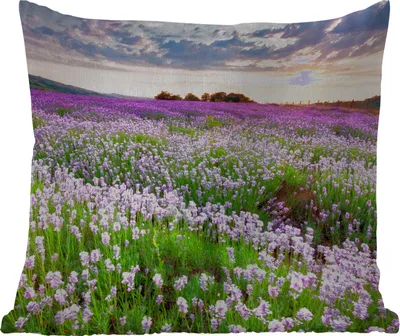 Produktbild von MuchoWow® Outdoor Kissen - Blumen - Lavendel - Lila - Himmel - Sonnenuntergang - Wiese - Natur - 60x60 cm - Wetterfest - Lounge Kissen - Dekoration - Schlaf Kissen