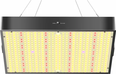 A grow light suspended by wires against a white background.