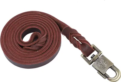 Immagine prodotto di Guinzaglio da addestramento per cani, regolabile, cinturino resistente, in pelle per cani di grossa taglia, da passeggio, da trekking, taglia media