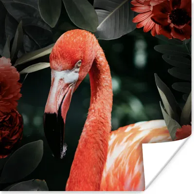 Produktbild von MuchoWow® Poster Flamingo - Blumen - Blätter - Federn 50x50 cm - Wohnzimmerdekoration
