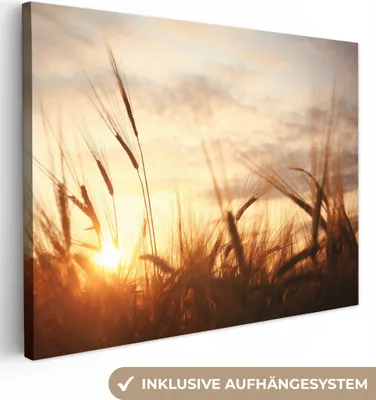 Zdjęcie produktu dla MuchoWow® - Obraz na płótnie - trzcina - trawa - zachód słońca - natura - horyzont, obraz na ścianę, obrazy dekoracyjne do salonu, 120x90cm