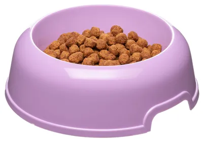 Image de Gamelle de voyage pour chiens, taille moyenne, 2 L, en matériau recyclé, antidérapante, écologique