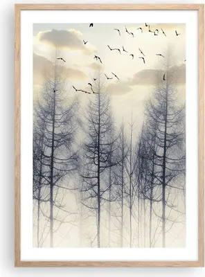 Produktbild von Gerahmtes Poster - Rahmen in heller Eiche - Bäume Vögel Himmel - 50x70 cm - Wand Bild - Wanddeko - Wandbilder - Kunstposter - Wandposter - Bilderrahmen - Bilder - Kunstdruck - P2NPA50x70-4546